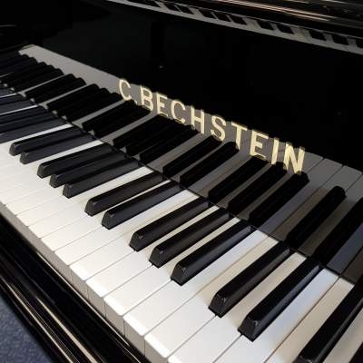 Bechstein V