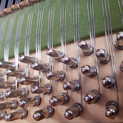 Bechstein V