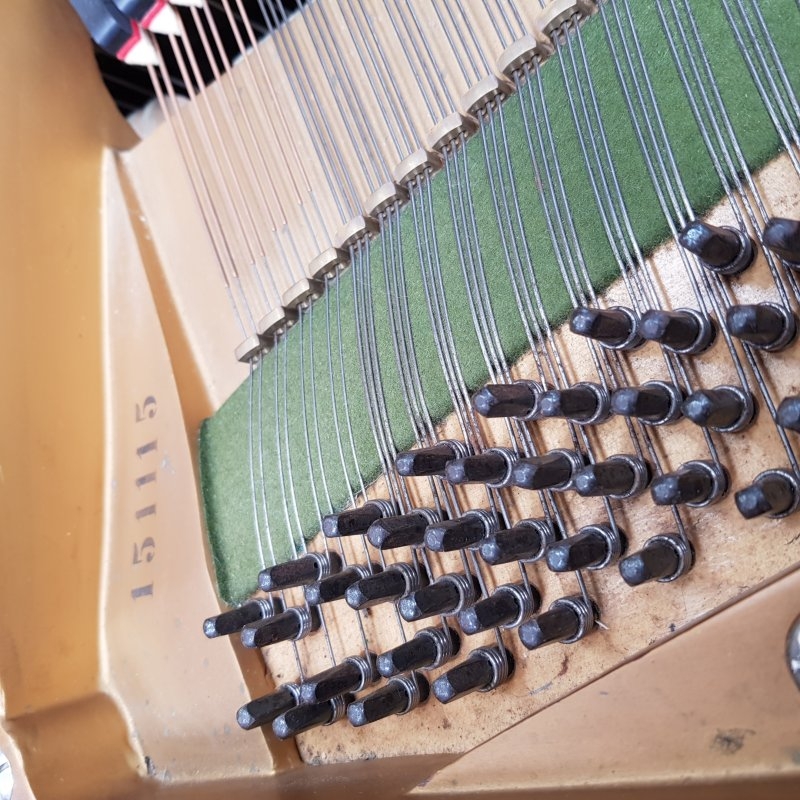 Bechstein L