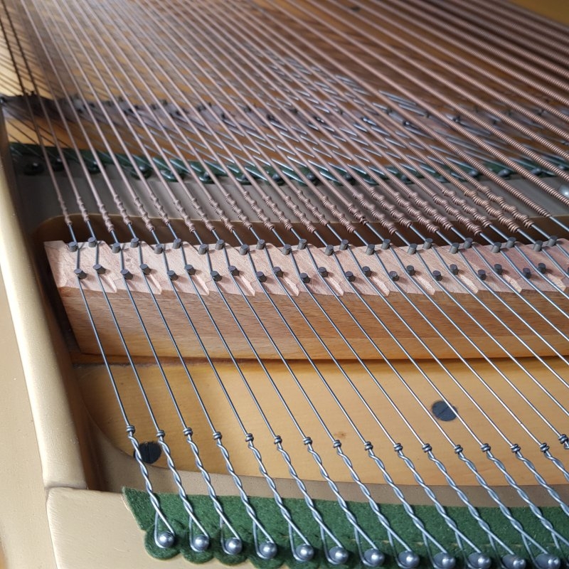 Bechstein L