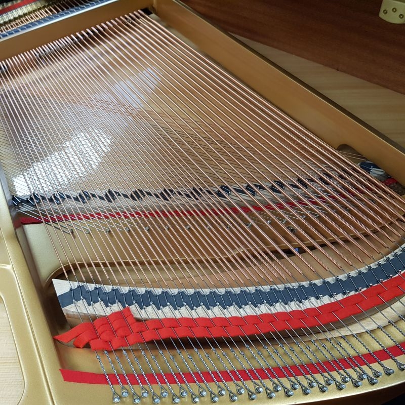 Kawai GL-10