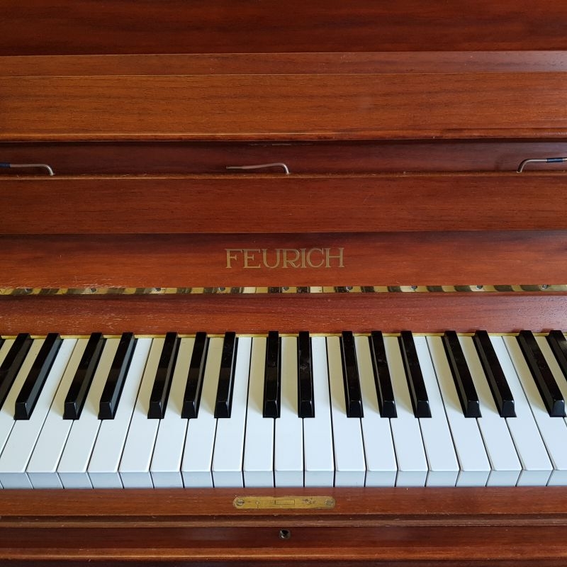 Feurich 120