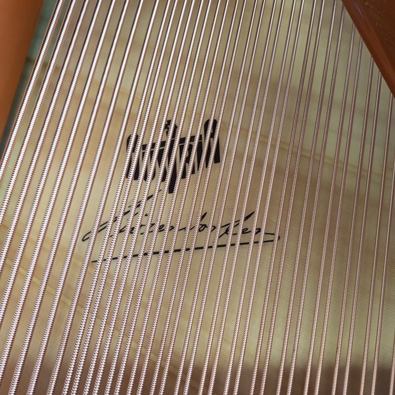 Bosendorfer 170