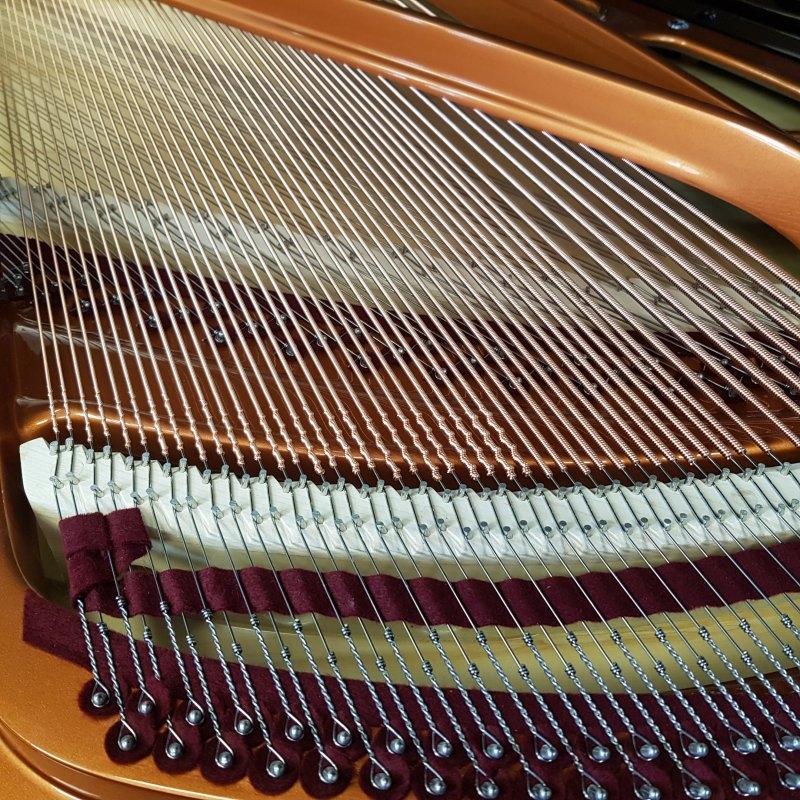 Bosendorfer 170