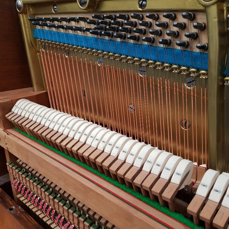 Bechstein 10