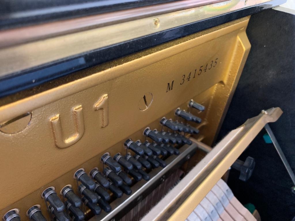 Yamaha U1M