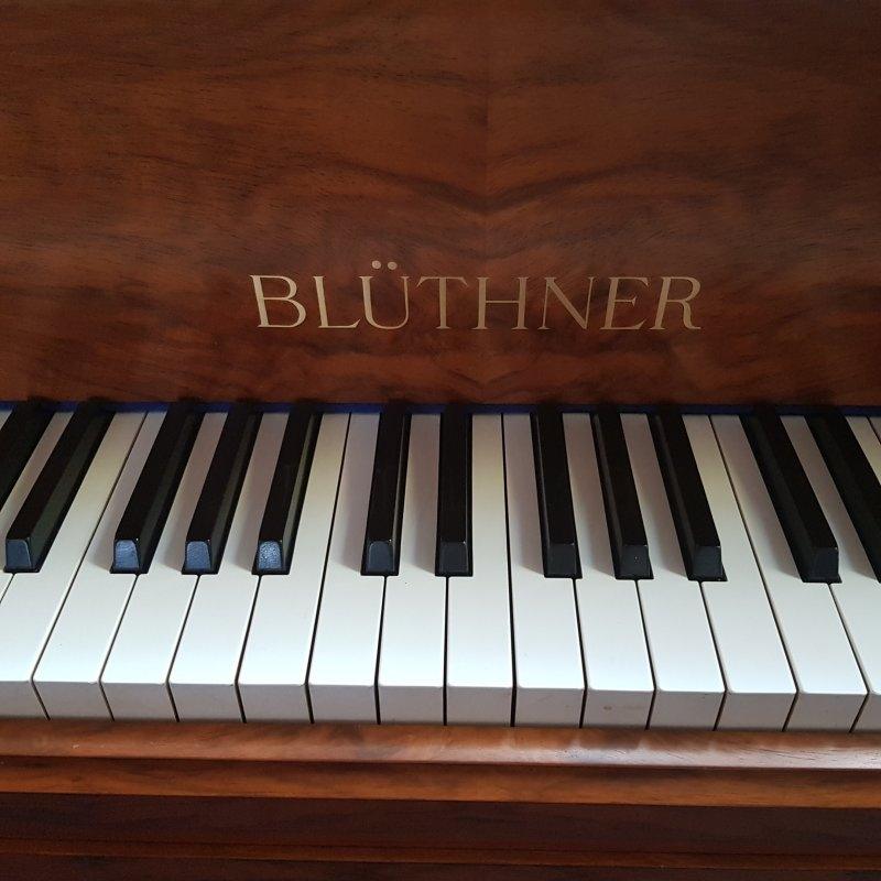 Bluthner IV grand Piano in walnut – Gallery image – Roberts Pianos Oxford