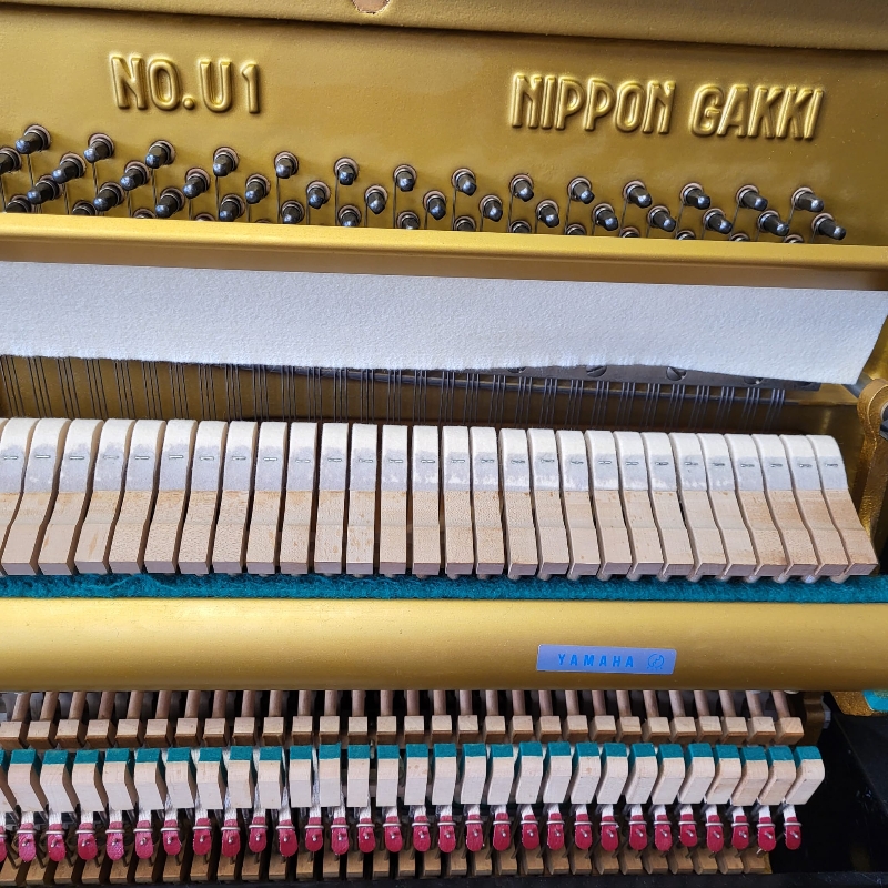 Yamaha U1F