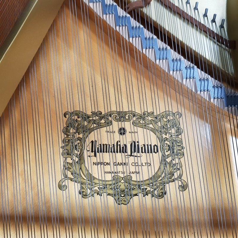Yamaha G1RE
