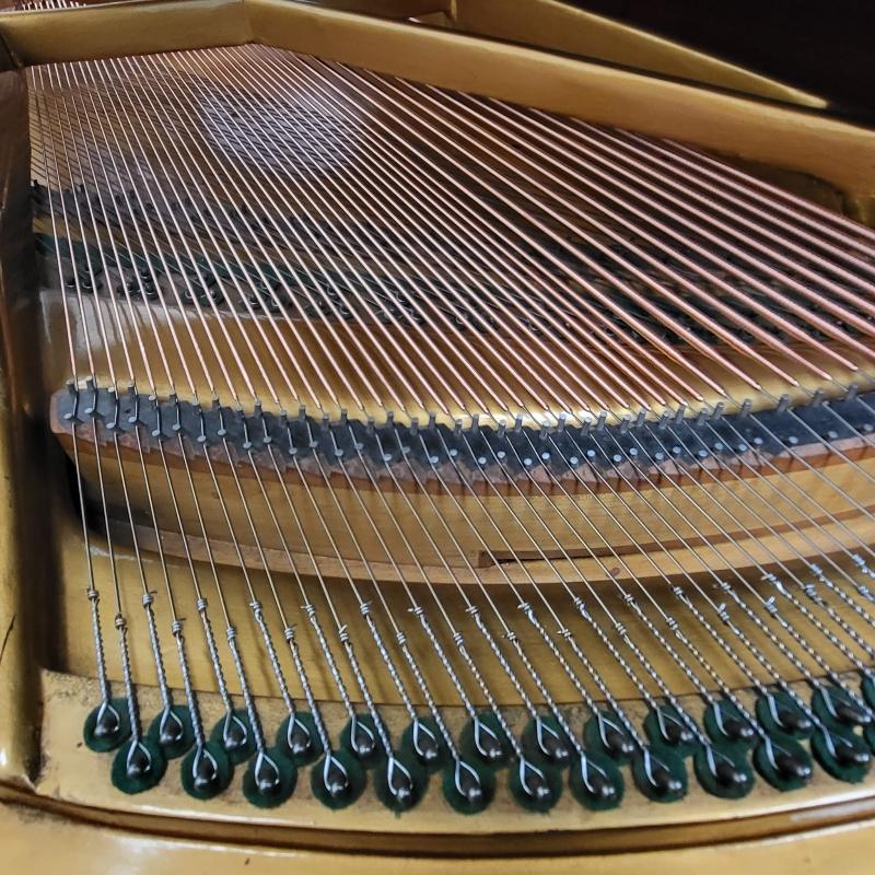 Richard Lipp 175 grand Piano in rosewood – Gallery image – Roberts Pianos Oxford