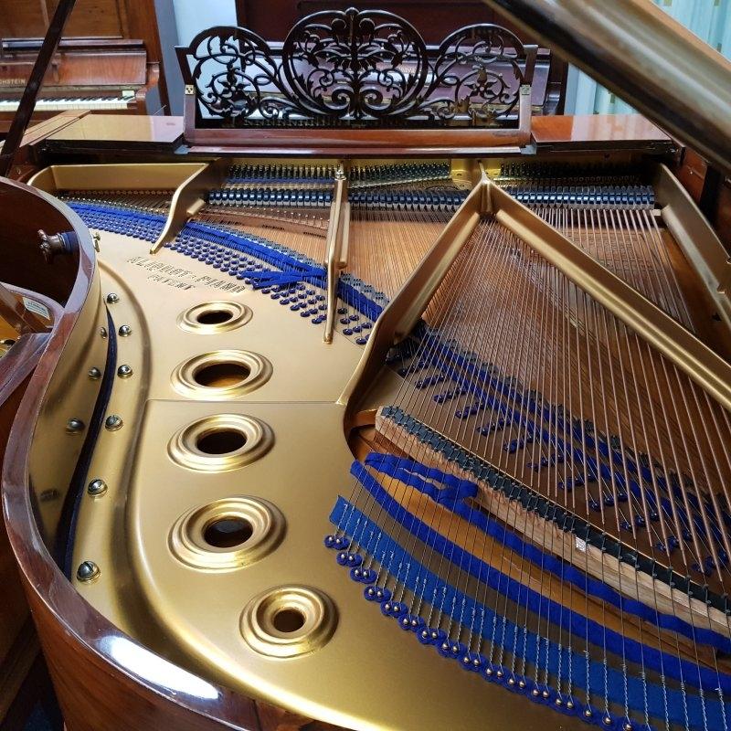 Bluthner VIII Aliquot grand Piano in Rosewood – Gallery image – Roberts Pianos Oxford
