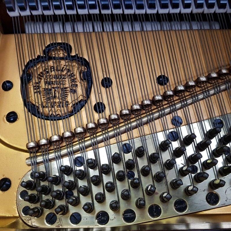 Bluthner VIII Aliquot grand Piano in Rosewood – Gallery image – Roberts Pianos Oxford