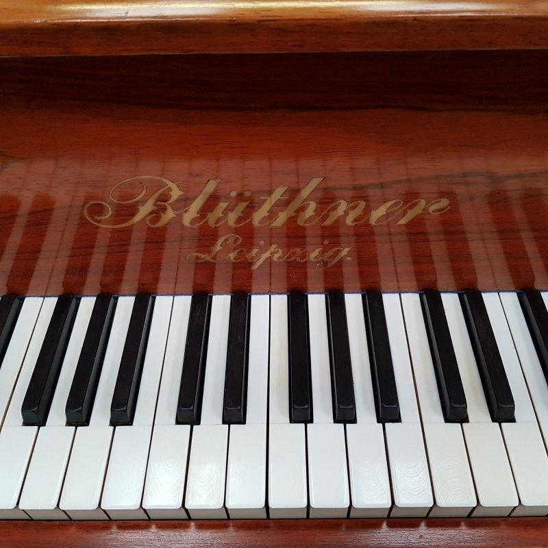 Bluthner VIII Aliquot grand Piano in Rosewood – Gallery image – Roberts Pianos Oxford