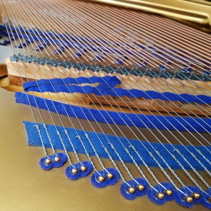 Bluthner VIII Aliquot grand Piano in Rosewood – Gallery image – Roberts Pianos Oxford