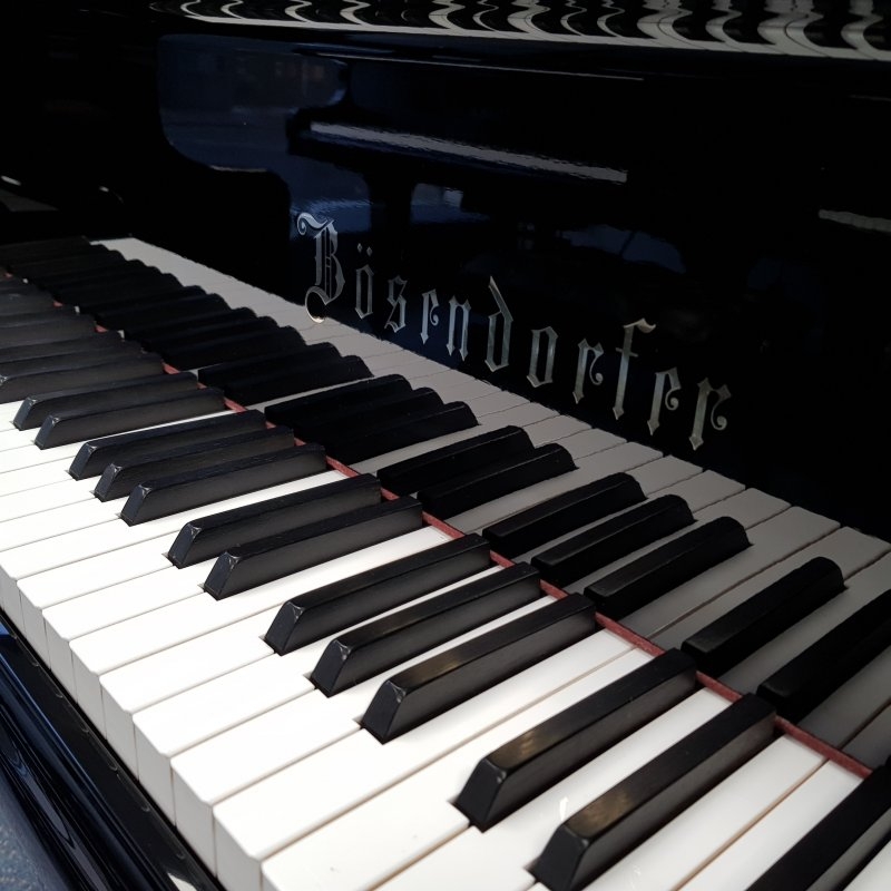 Bosendorfer 170