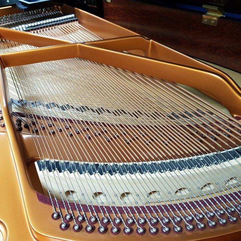 Bosendorfer 170 grand Piano in black – Gallery image – Roberts Pianos Oxford