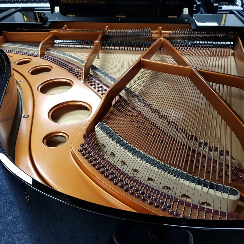 Bosendorfer 170
