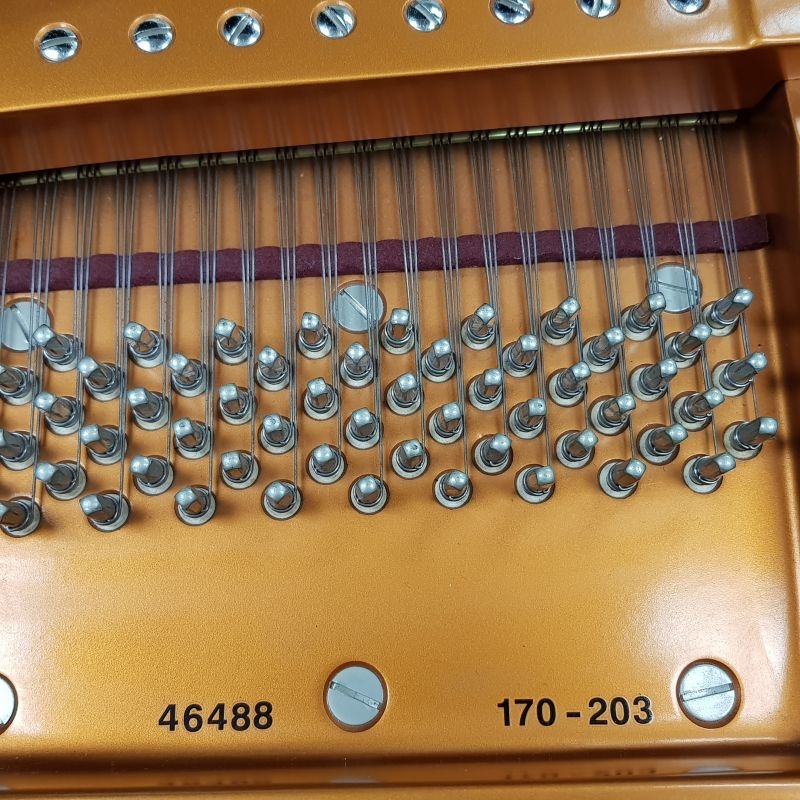 Bosendorfer 170