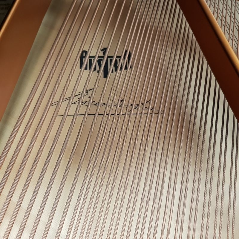 Bosendorfer 170