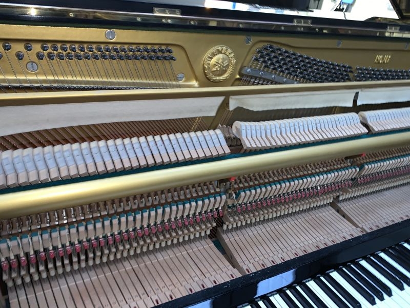 Yamaha U1G