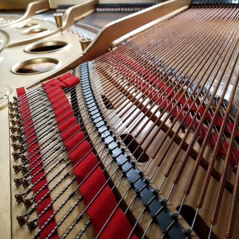 Steinway O grand Piano in black French polish – Gallery image – Roberts Pianos Oxford