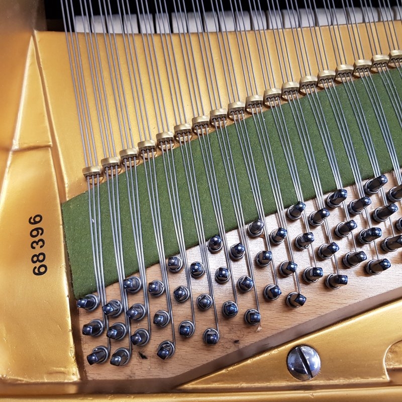 Bechstein B