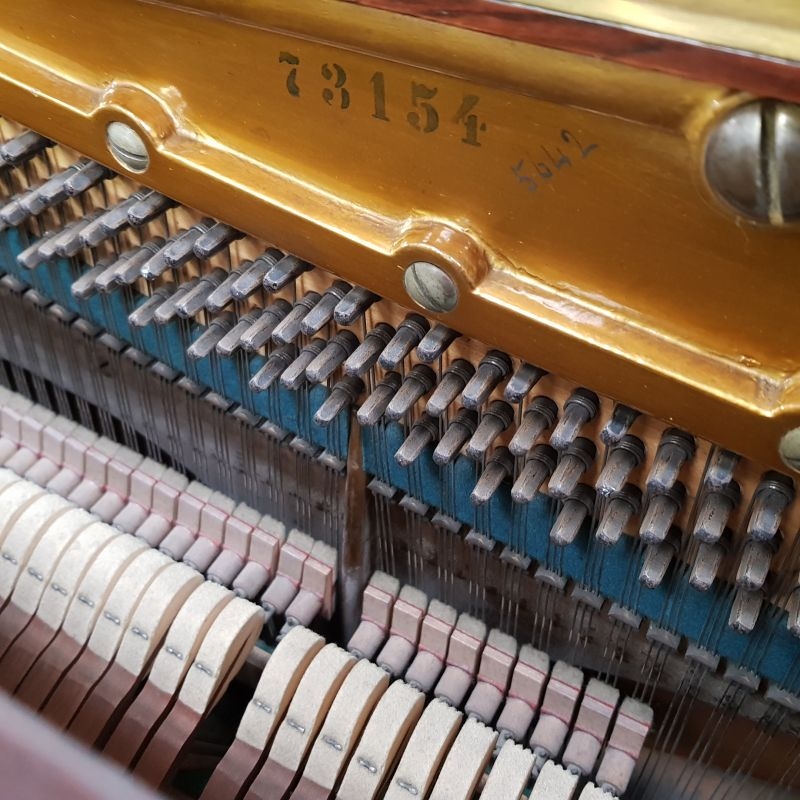 Bechstein 8