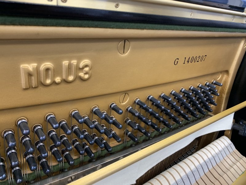 Yamaha U3G