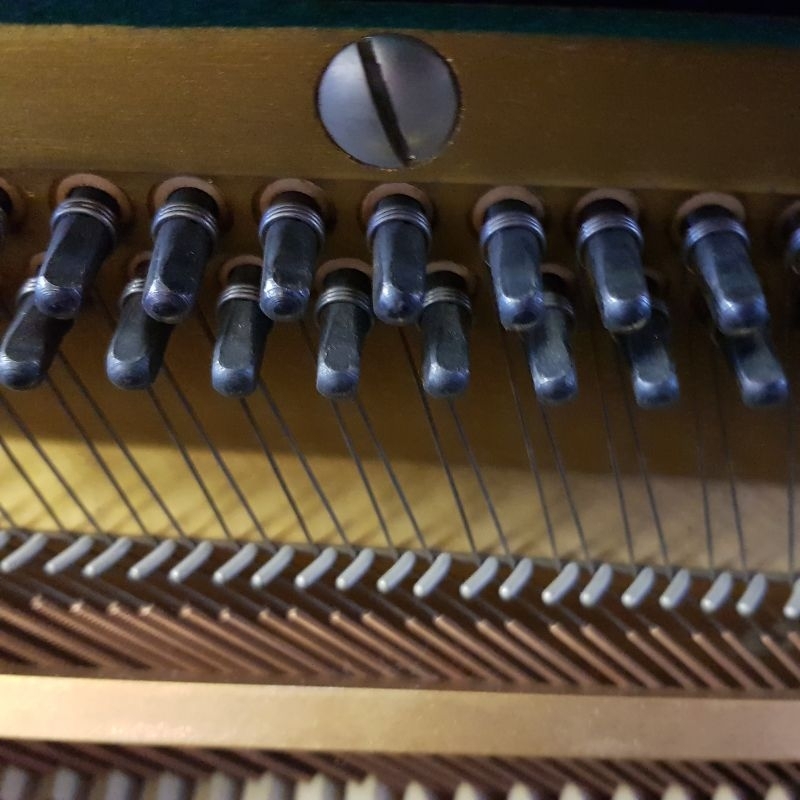 Yamaha U1D