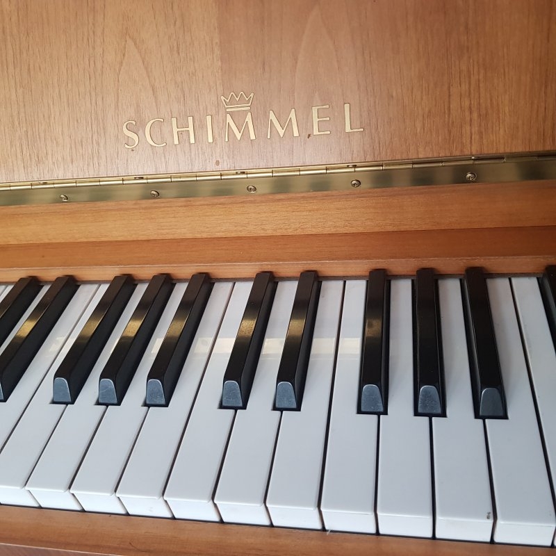 Schimmel 112