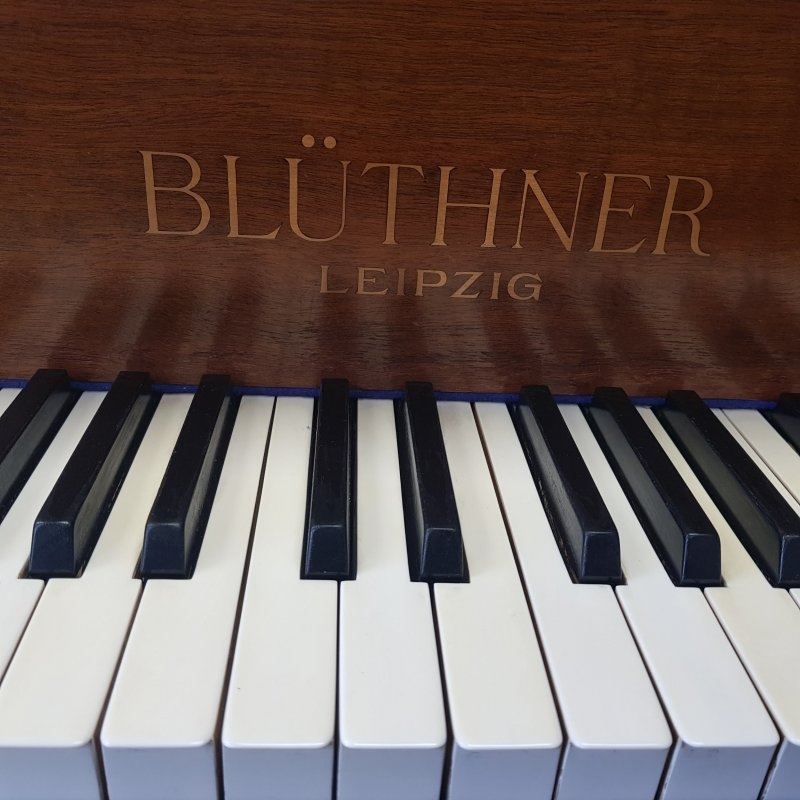 Bluthner Style IV