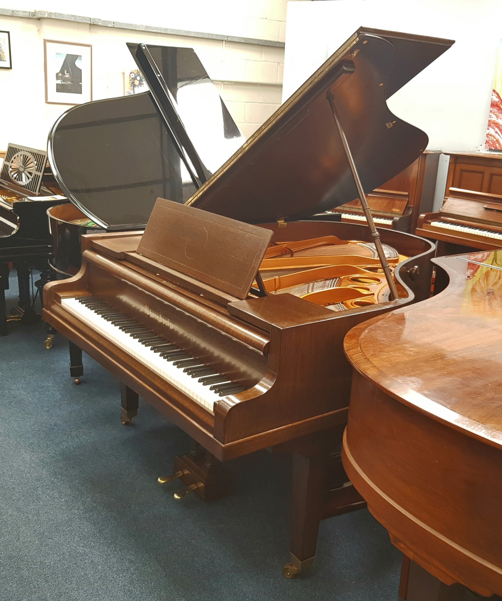 Bosendorfer 170