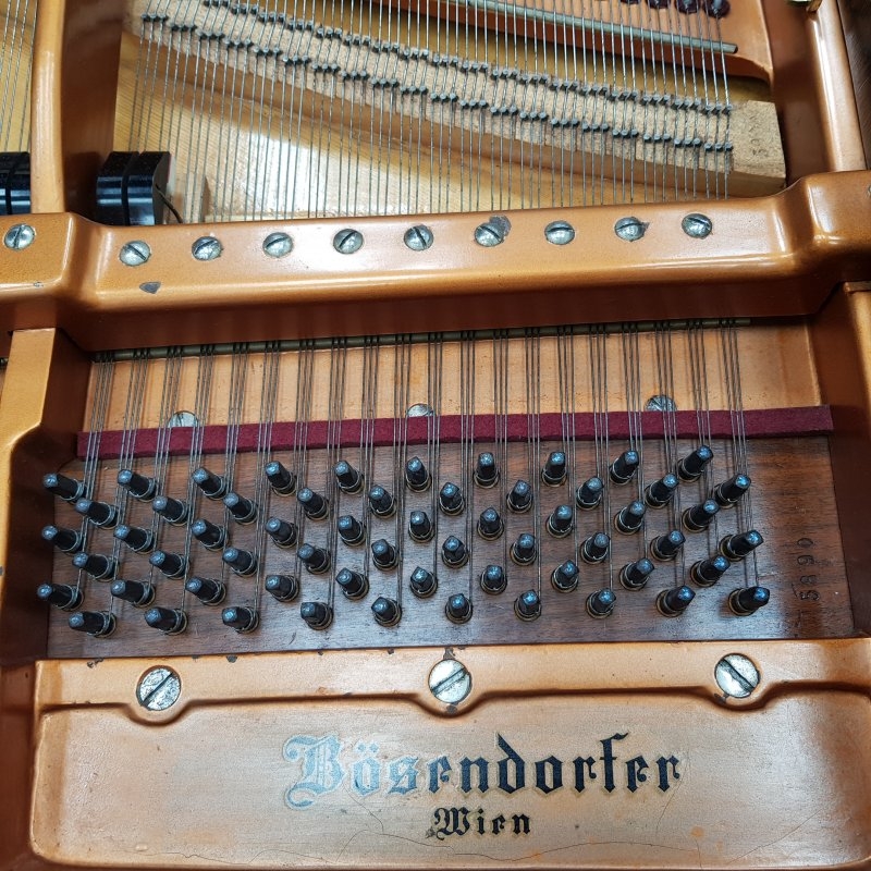 Bosendorfer 170