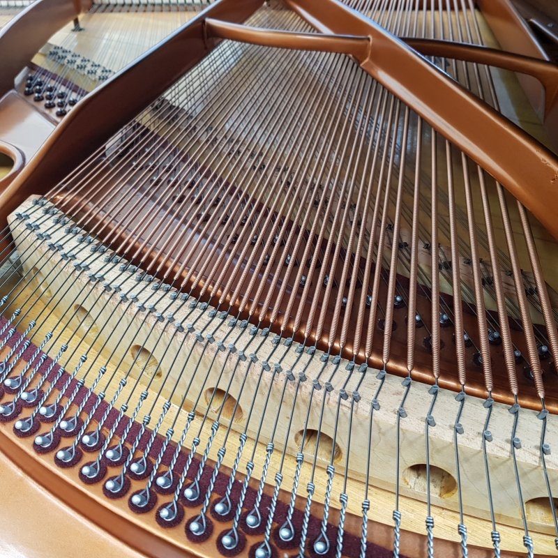 Bosendorfer 170