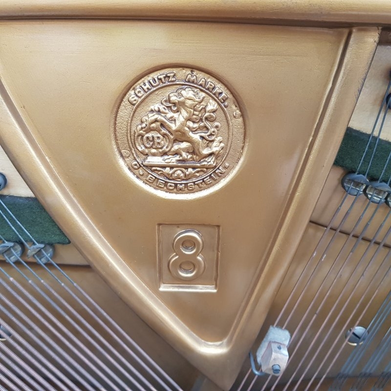 Bechstein 8