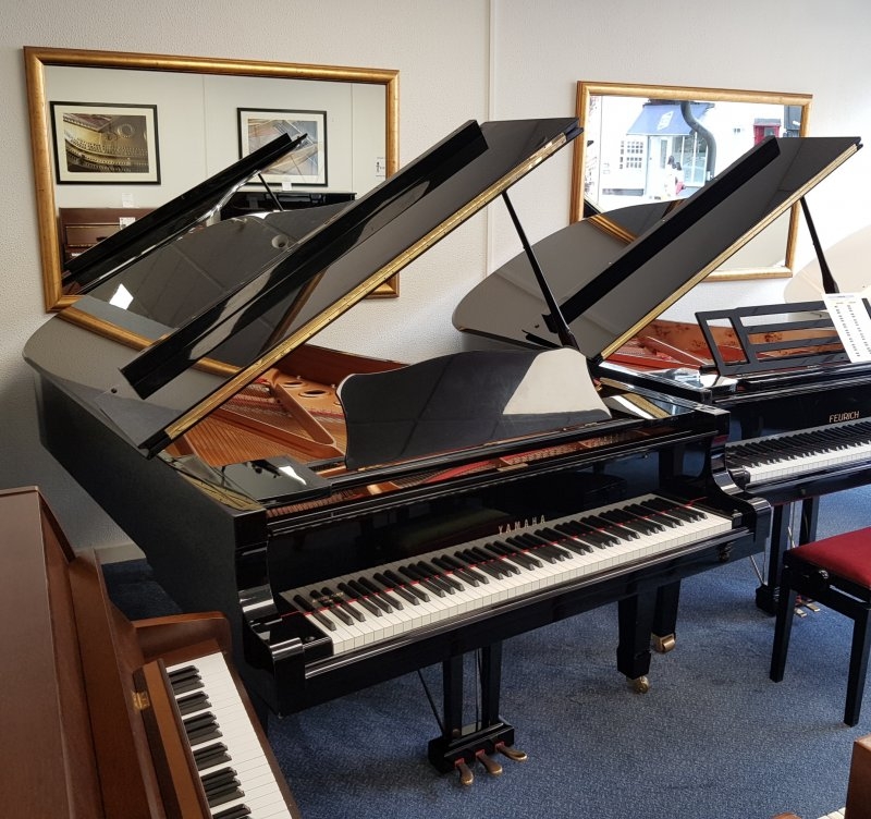 Yamaha C7