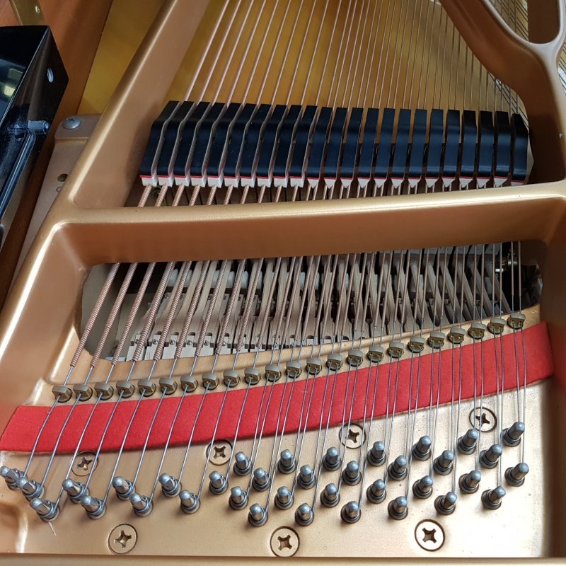 Yamaha C7