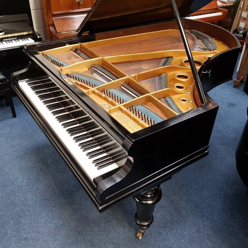 Bechstein V