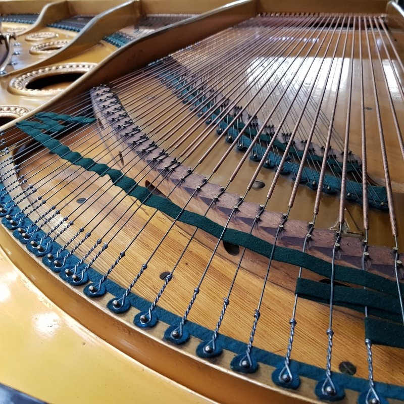 Bechstein V