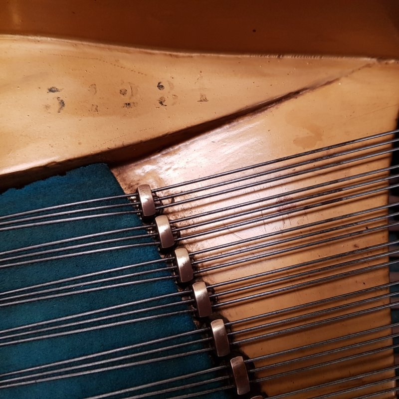 Bechstein V
