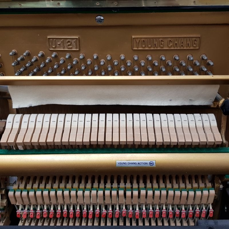 Young Chang upright Piano in black – Gallery image – Roberts Pianos Oxford