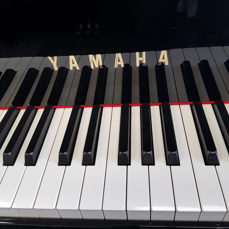 Yamaha C2M