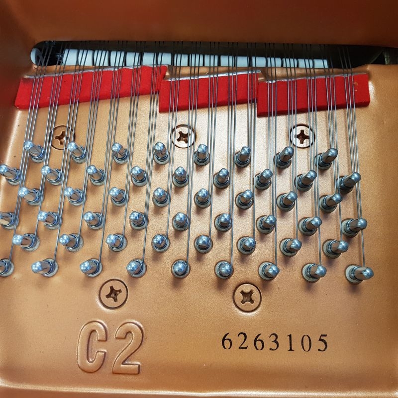 Yamaha C2M