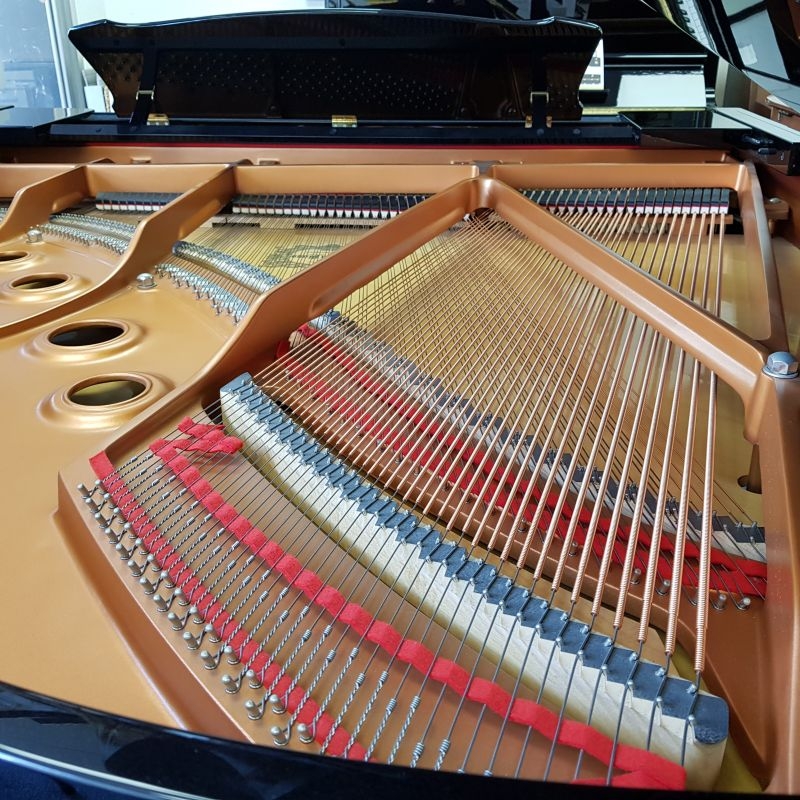 Yamaha C2M