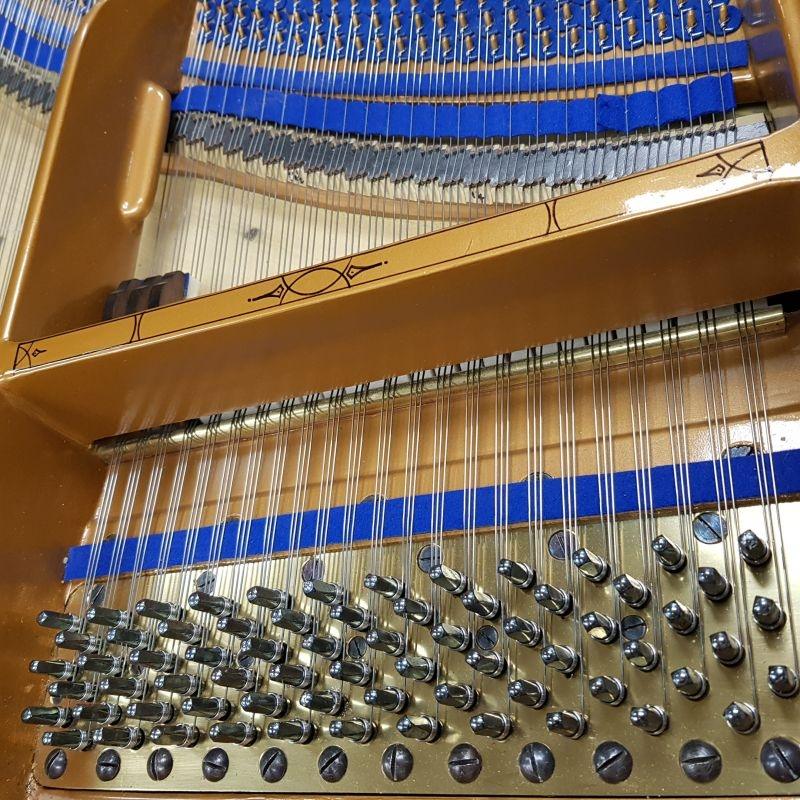 Bluthner style VII grand Piano in Rosewood – Gallery image – Roberts Pianos Oxford