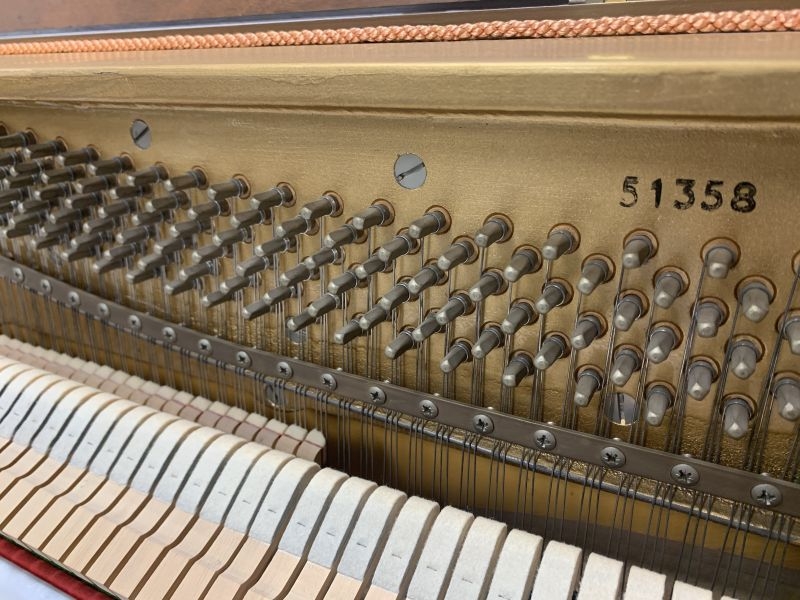 Knight K6 (20)