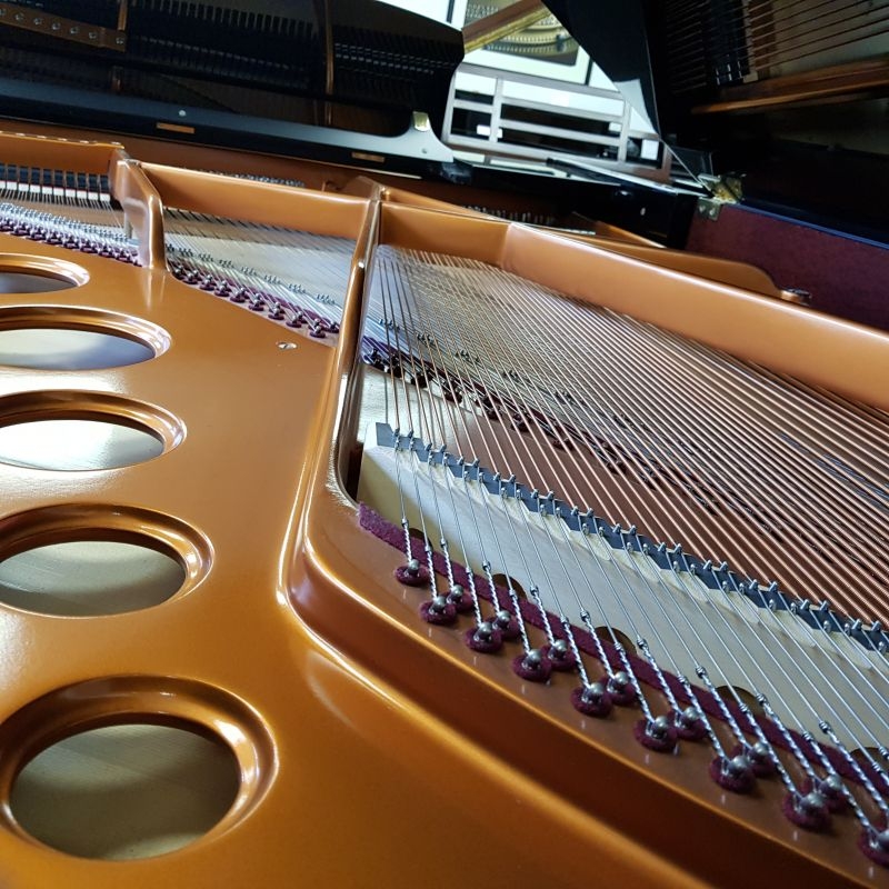 Bosendorfer 200