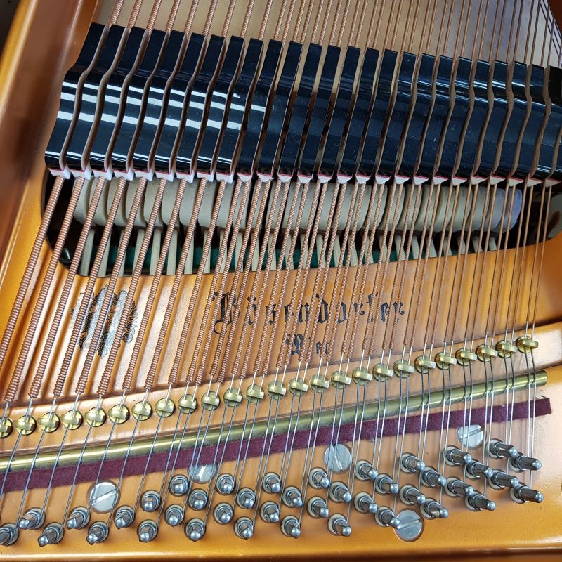 Bosendorfer 200