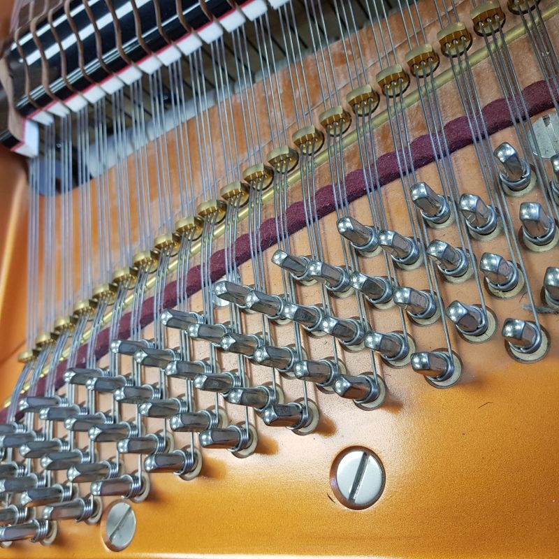 Bosendorfer 200