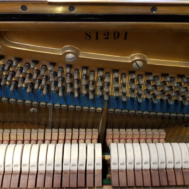Bechstein 8